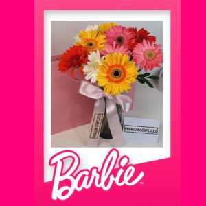 RAMO DE GERBERAS PARA VER BARBIE