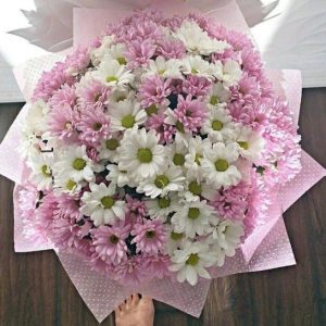 BIG BOUQUET PREMIUM DE MARGARITAS ROSADAS Y BLANCAS