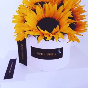 10 Girasoles Premium Para Enamorar Cómplices