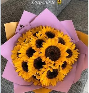 BIG BOUQUET PREMIUM 15 GIRASOLES DE VIVEROS