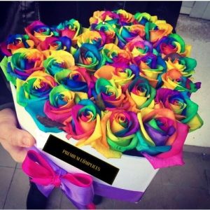 Rosas Multicolores En Box Premium Cómplices