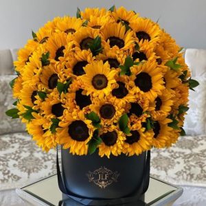 Box de 100 Girasoles Premium Más Tarjeta Fotográfica y Dedicatoria