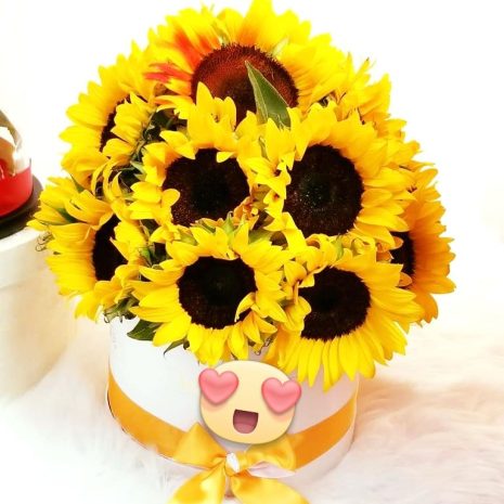 GIRASOLES-PREMIUM-EN-BOX.jpg