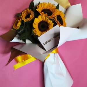 BIG BOUQUET PREMIUM DE GIRASOLES DE VIVEROS