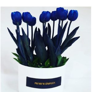 Tulipanes Azules Premium