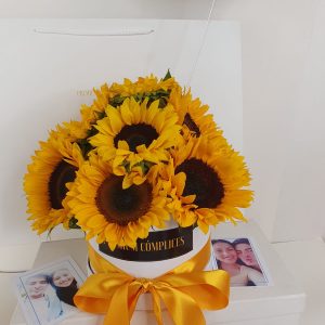 Box de Girasoles Premium