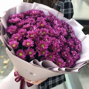 BIG BOUQUET PREMIUM DE MARGARITAS TONO MORADO