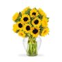 girasoles-esplendorosos.jpg