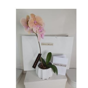 Orquídea Premium Bricelet