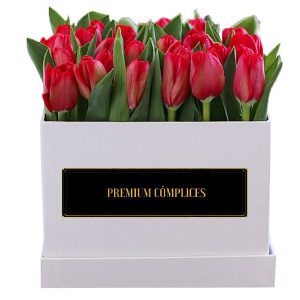 25 Tulipanes En Box Premium Cómplices Cuadrado